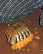 Kake